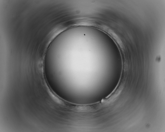 X0000102851433200808181407