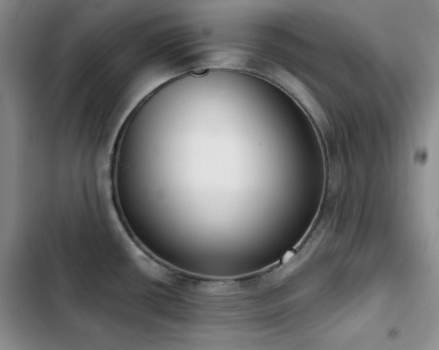 X0000102851434200808181407