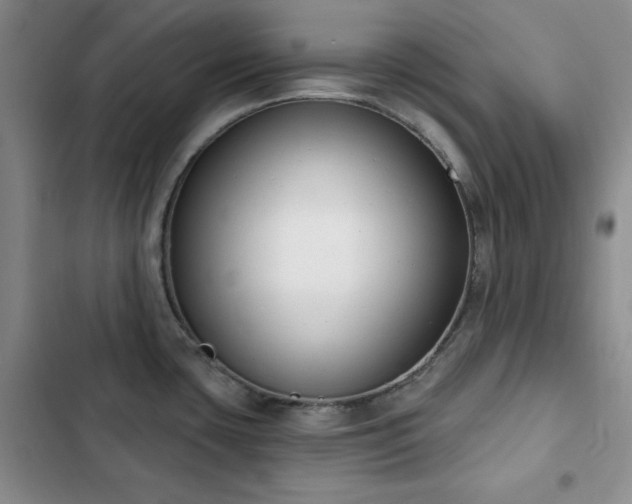 X0000102851435200808181407