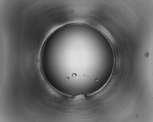 X0000102851436200808181407