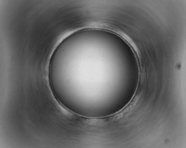 X0000102851437200808181407