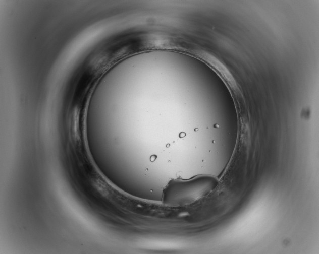 X0000102851439200808181407