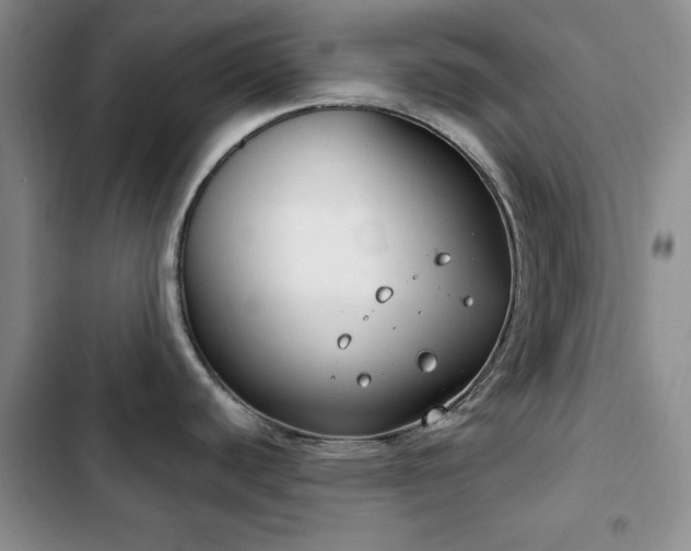 X0000102851440200808181407