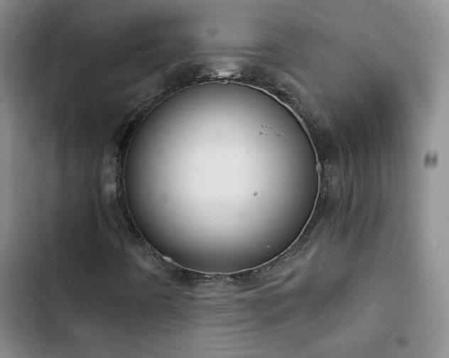 X0000102851442200808181406