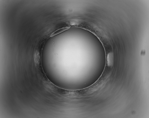 X0000102851443200808181406