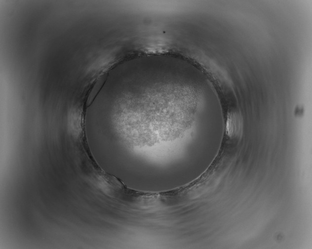 X0000102851444200808181406