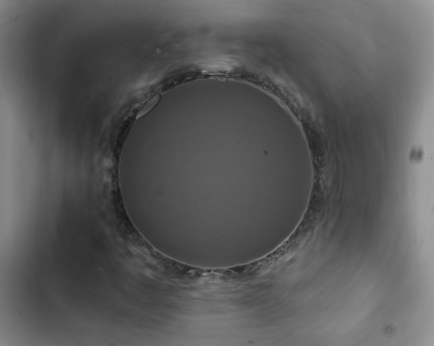 X0000102851445200808181406