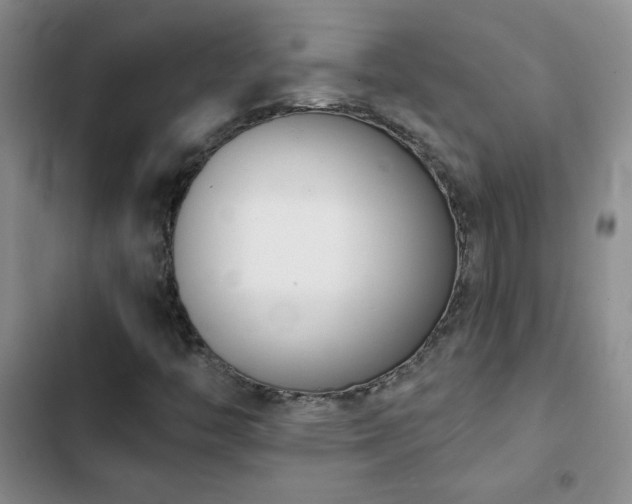 X0000102851446200808181406