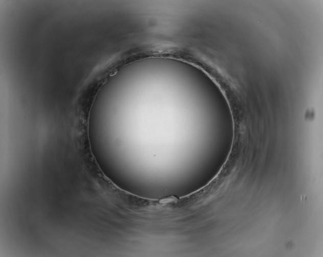 X0000102851447200808181406
