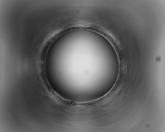 X0000102851448200808181406