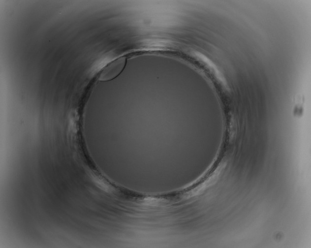 X0000102851449200808181406