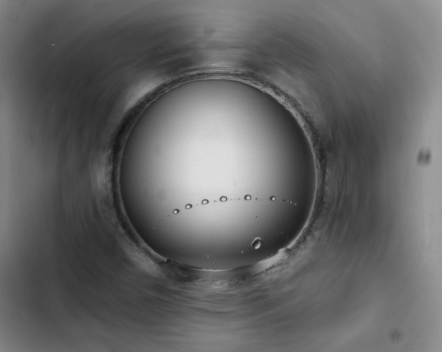 X0000102851450200808181406