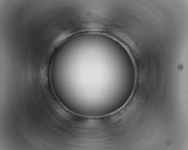 X0000102851451200808181406