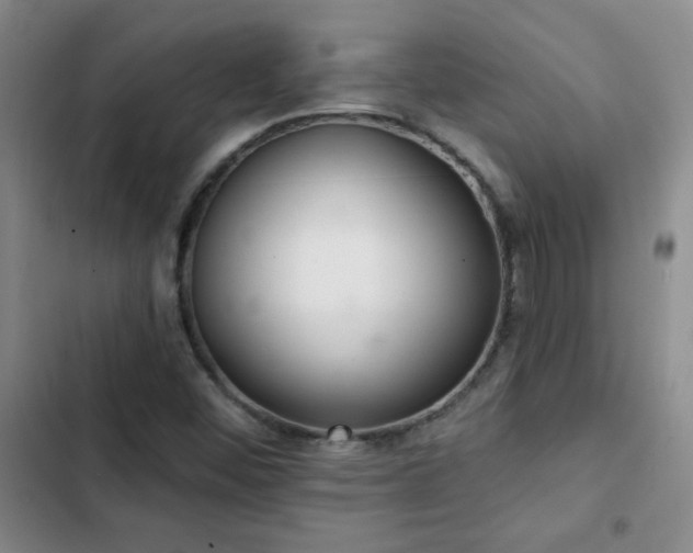 X0000102851452200808181406