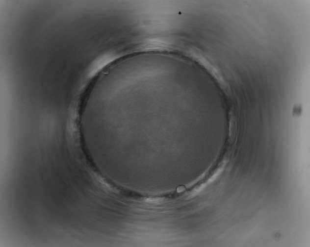 X0000102851453200808181406