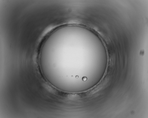 X0000102851454200808181406