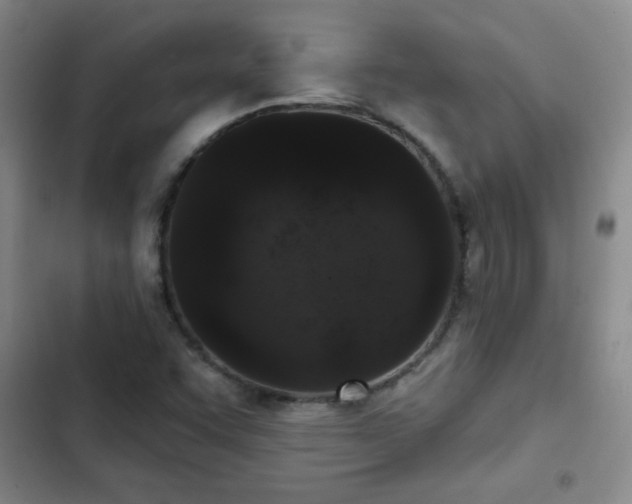 X0000102851455200808181406