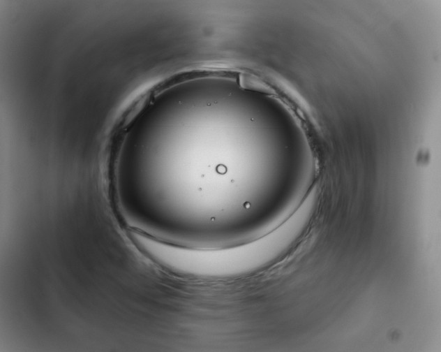 X0000102851456200808181406
