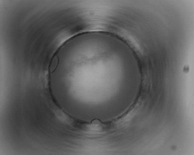 X0000102851457200808181406