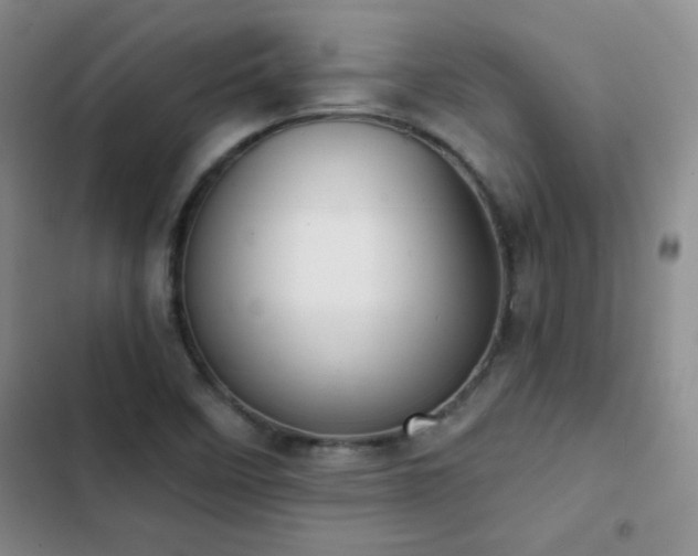 X0000102851458200808181406
