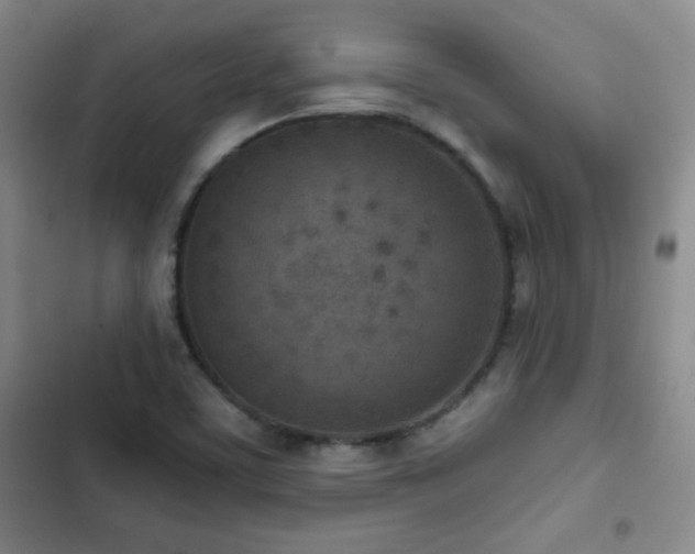 X0000102851459200808181406
