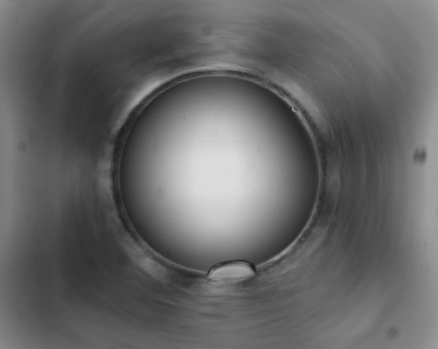 X0000102851460200808181406