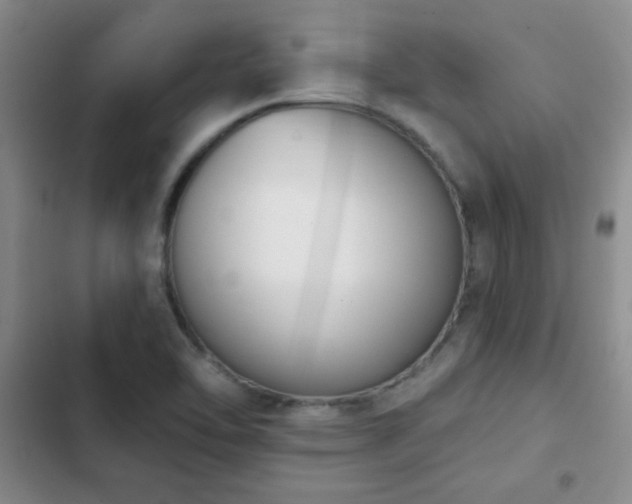 X0000102851462200808181406