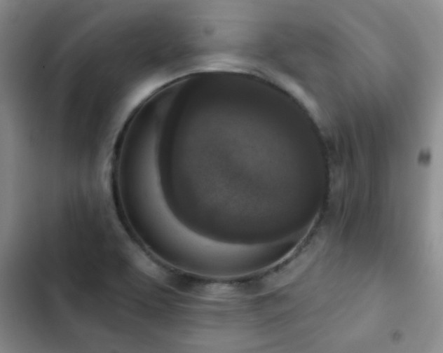 X0000102851463200808181406