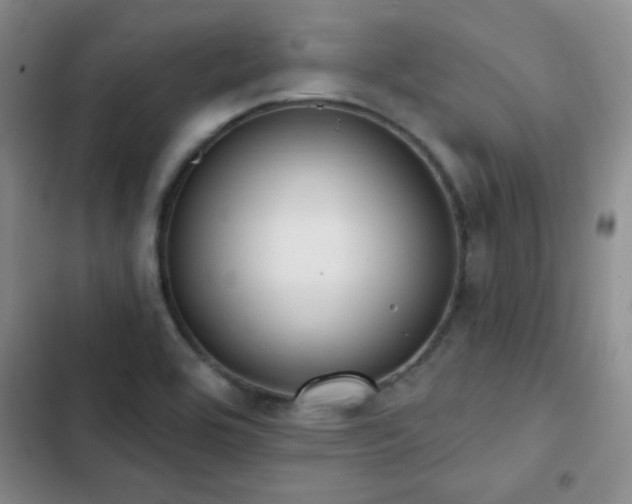 X0000102851464200808181406