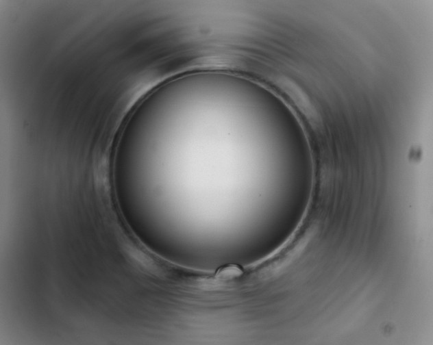 X0000102851465200808181406