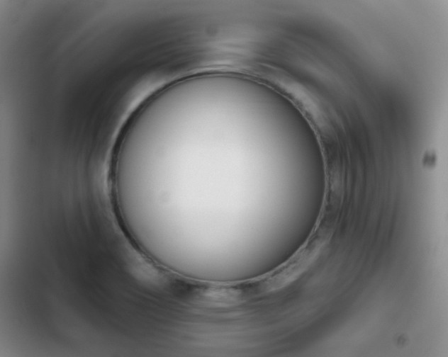 X0000102851466200808181406