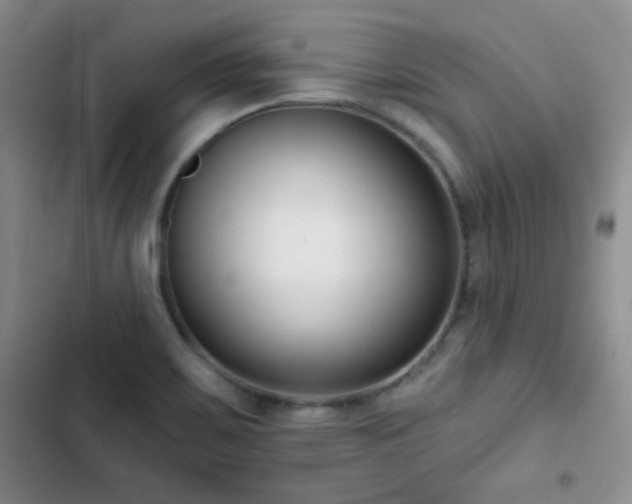 X0000102851467200808181406