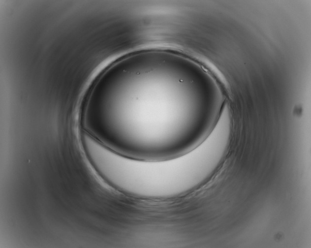 X0000102851468200808181406