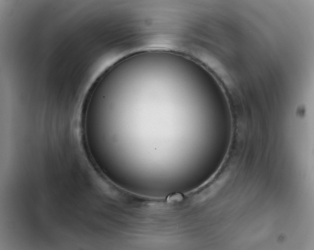 X0000102851469200808181406