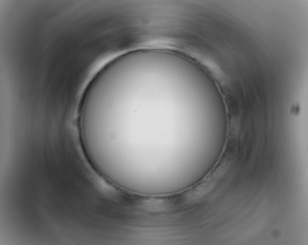 X0000102851470200808181406