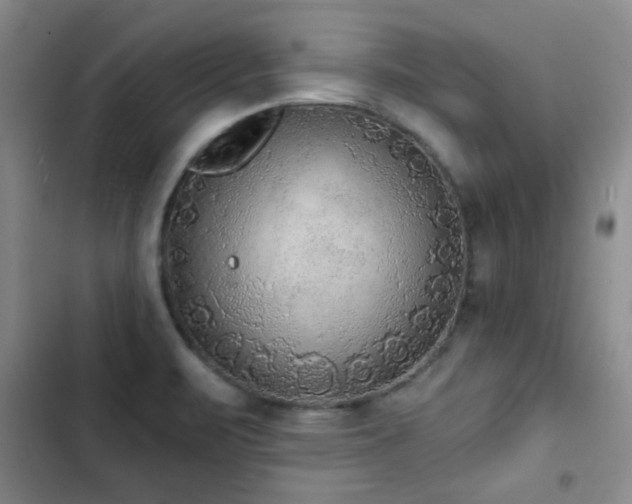 X0000102851471200808181406