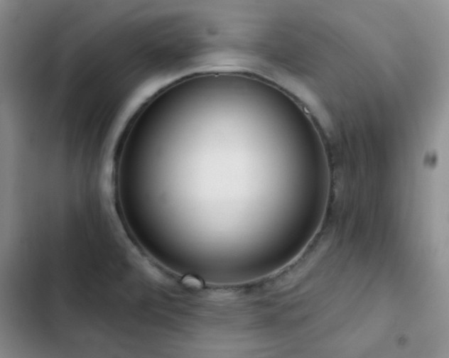 X0000102851472200808181406