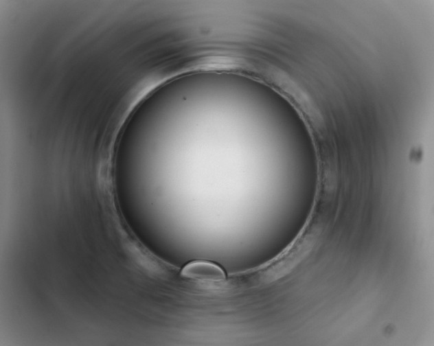 X0000102851473200808181406