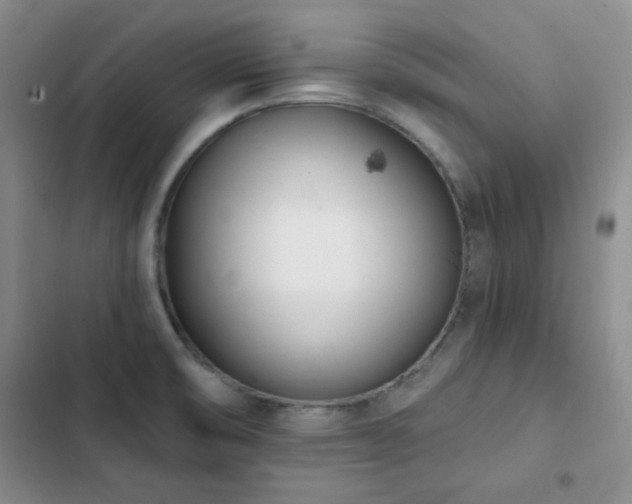 X0000102851474200808181406