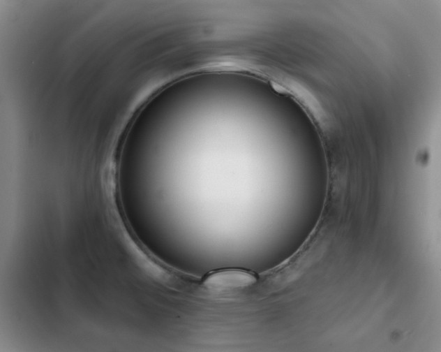 X0000102851476200808181406