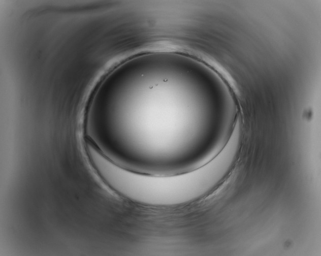 X0000102851477200808181406