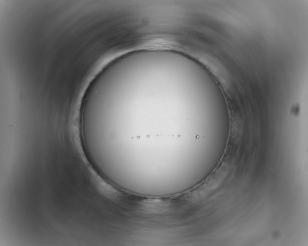 X0000102851478200808181406