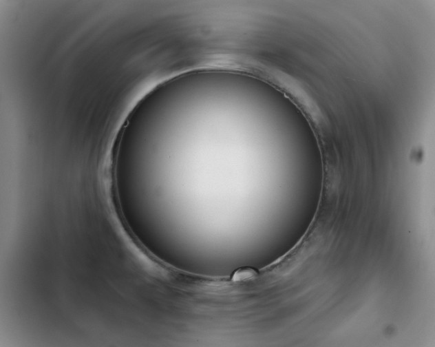X0000102851479200808181406