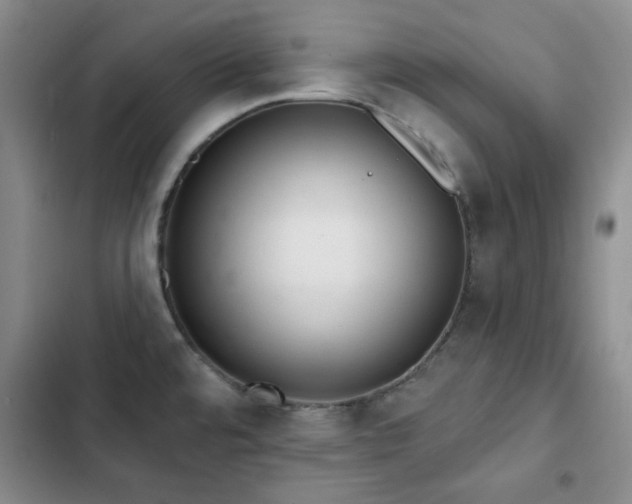 X0000102851480200808181406