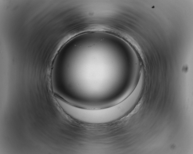 X0000102851481200808181406