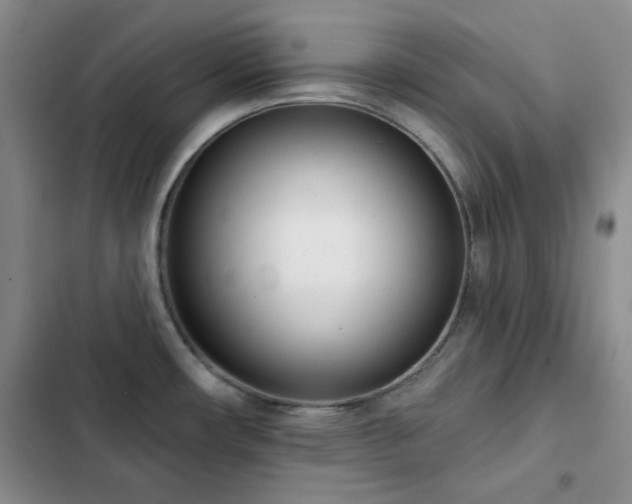 X0000102851482200808181406