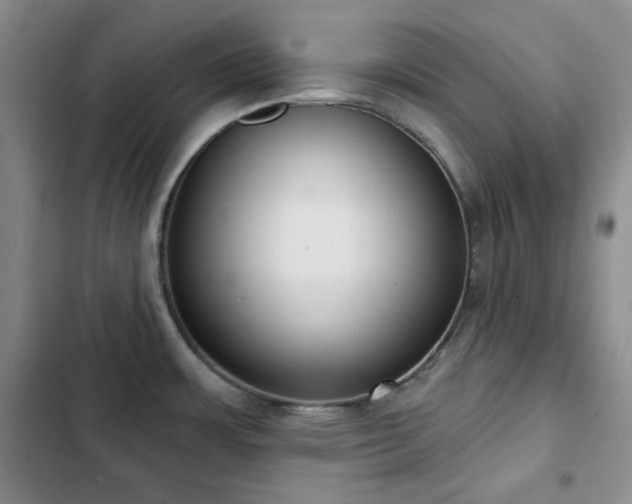 X0000102851483200808181406
