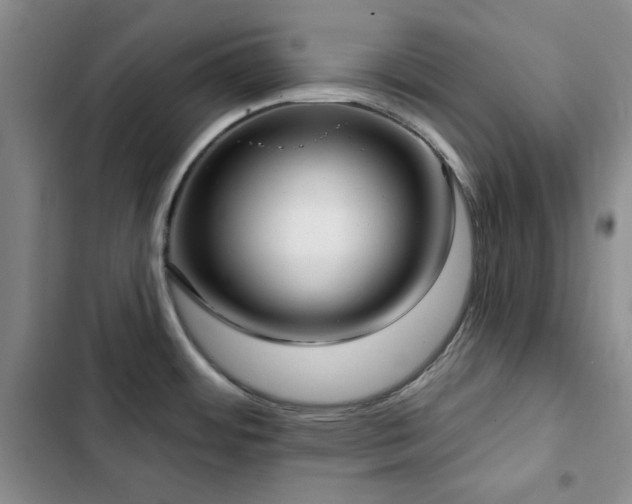 X0000102851484200808181406