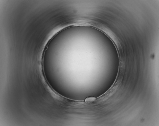 X0000102851485200808181406