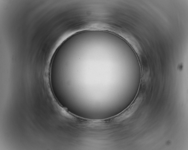 X0000102851486200808181406